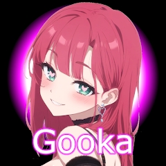 gookaai1.0.105 ׿